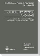 Of Fish, Fly, Worm, and Man