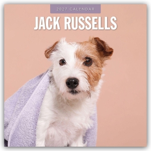 Red, Robin. Jack Russells - Jack Russell Terrier 2027 - 16-Monatskalender - Original Red Robin Publishing Ltd-Kalender [Mehrsprachig] [Kalender]. Browntrout Verlags GmbH, 2026.
