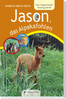 Jason, das Alpakafohlen