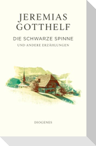 Die schwarze Spinne