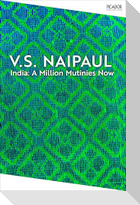 India: A Million Mutinies Now