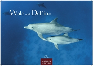 Wale und Delfine Kalender 2027 - Wandkalender | Fotokalender Tierkalender 35x50cm Grosses Format - Hochwertige Fotografien von Walen und Delfinen, die jeden Monat begeistern.. Casares Fine Art Edition, 2026.
