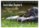 Australian Shepherd - Augenblicke (Tischkalender 2024 DIN A5 quer), CALVENDO Monatskalender