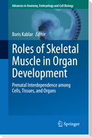 Roles of Skeletal Muscle in Organ Development