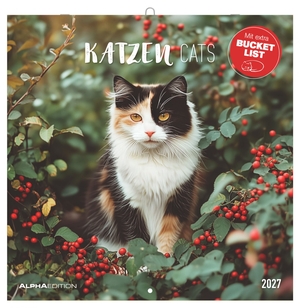Neumann Verlage GmbH & Co KG (Hrsg.). Katzen 2027 - Wandkalender 30x30 cm (30x60 cm geöffnet) mit Notizkalendarium, 12 Katzenfotografien und Bucket-List. Neumann Verlage GmbH & Co, 2026.