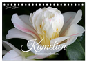 Kamelien - Blütenschönheiten (Tischkalender 2024 DIN A5 quer), CALVENDO Monatskalender