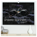 Unsere Spinnen - im Gespräch (hochwertiger Premium Wandkalender 2025 DIN A2 quer), Kunstdruck in Hochglanz