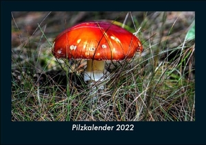 Tobias Becker. Pilzkalender 2022 Fotokalender DIN A5 - Monatskalender mit Bild-Motiven aus Fauna und Flora, Natur, Blumen und Pflanzen. Vero Kalender, 2021.