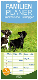 Familienplaner 2025 - Französische Bulldoggen mit 5 Spalten (Wandkalender, 21 x 45 cm) CALVENDO