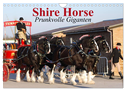 Shire Horse ¿ Prunkvolle Giganten (Wandkalender 2024 DIN A4 quer), CALVENDO Monatskalender