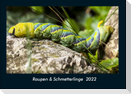 Raupen & Schmetterlinge  2022 Fotokalender DIN A4