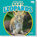 Baby Leopards