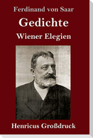 Gedichte / Wiener Elegien (Großdruck)