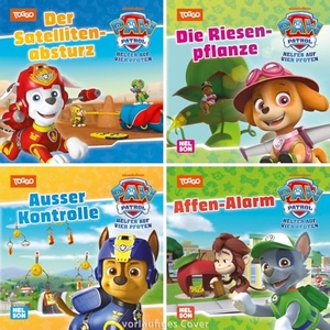 Maxi-Mini Box 63: PAW Patrol (4x5 Exemplare) - Kleine Vorlesebücher ab 3 Jahren mit Geschichten von Chase, Marshall, Skye, Rubble. Nelson Verlag, 2026.