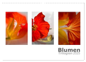 Blumen Trilogien (Wandkalender 2025 DIN A3 quer), CALVENDO Monatskalender