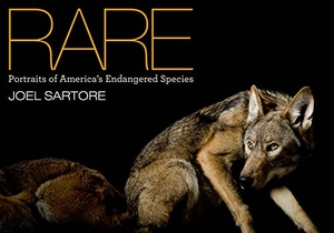Sartore, Joel. Rare: Portraits of America's Endangered Species. Disney Publishing Group, 2010.