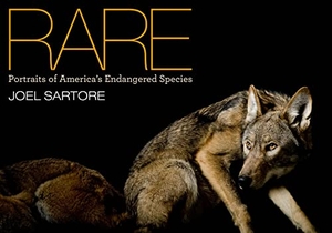 Sartore, Joel. Rare - Portraits of America's Endangered Species. Disney Publishing Group, 2010.