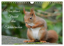 Mein kleiner Freund das Eichhörnchen (Wandkalender 2025 DIN A4 quer), CALVENDO Monatskalender