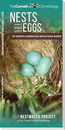 Nests and Eggs of North American Backyard Birds