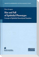 Rise and Fall of Epithelial Phenotype