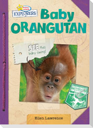 Baby Orangutan