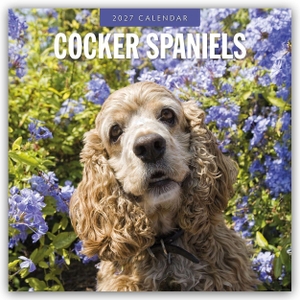 Red, Robin. Cocker Spaniels - Cocker Spaniel 2027 - 16-Monatskalender - Original Red Robin Publishing Ltd-Kalender [Mehrsprachig] [Kalender]. Browntrout Verlags GmbH, 2026.