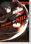 Akame ga KILL! 13