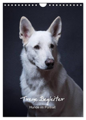 Treue Wegbegleiter, Hunde im Portrait. (Wandkalender 2024 DIN A4 hoch), CALVENDO Monatskalender