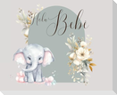 Hola, bebé (baby shower)