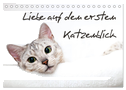 Liebe auf den ersten Katzenblick (Tischkalender 2024 DIN A5 quer), CALVENDO Monatskalender