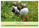 Puffins - small birds very big (Wall Calendar 2025 DIN A4 landscape), CALVENDO 12 Month Wall Calendar