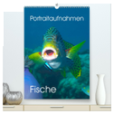 Portraitaufnahmen - Fische (hochwertiger Premium Wandkalender 2025 DIN A2 hoch), Kunstdruck in Hochglanz