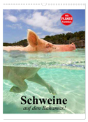 Schweine auf den Bahamas! (Wandkalender 2025 DIN A3 hoch), CALVENDO Monatskalender