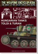 Hungarian tanks Toldi & Turan