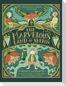 The Marvelous Land of Snergs