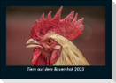 Tiere auf dem Bauernhof 2023 Fotokalender DIN A5
