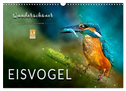 Wunderschöner Eisvogel (Wandkalender 2024 DIN A3 quer), CALVENDO Monatskalender