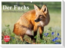 Der Fuchs. Bezaubernder Geselle (Wandkalender 2024 DIN A2 quer), CALVENDO Monatskalender