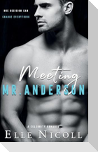 Meeting Mr. Anderson