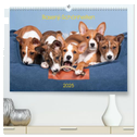 Basenji-Schönheiten (hochwertiger Premium Wandkalender 2025 DIN A2 quer), Kunstdruck in Hochglanz