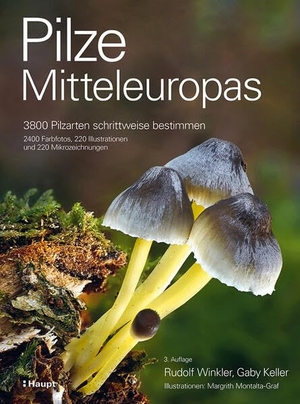 Winkler, Rudolf / Keller, Gaby et al. Pilze Mitteleuropas - 3800 Pilzarten schrittweise bestimmen. 2400 Farbfotos, 220 Illustrationen und 220 Mikrozeichnungen. Haupt Verlag AG, 2026.