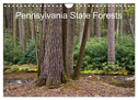 Pennsylvania State Forests (Wall Calendar 2024 DIN A4 landscape), CALVENDO 12 Month Wall Calendar