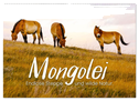 Mongolei - Endlose Steppe und wilde Natur. (Wandkalender 2024 DIN A2 quer), CALVENDO Monatskalender
