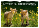 Rotfuchs - Impressionen (Wandkalender 2024 DIN A4 quer), CALVENDO Monatskalender