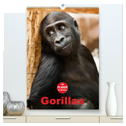 Gorillas (hochwertiger Premium Wandkalender 2024 DIN A2 hoch), Kunstdruck in Hochglanz