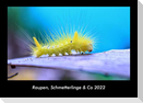 Raupen, Schmetterlinge & Co 2022 Fotokalender DIN A3