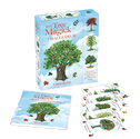The Tree Magick Oracle Deck