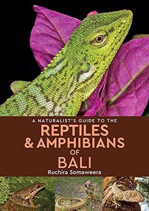 Somaweera, Ruchira. A Naturalist's Guide to the Reptiles & Amphibians of Bali. John Beaufoy Publishing, 2018.
