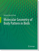 Molecular Geometry of Body Pattern in Birds