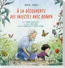 À La Découverte Des Insectes Avec Bompa